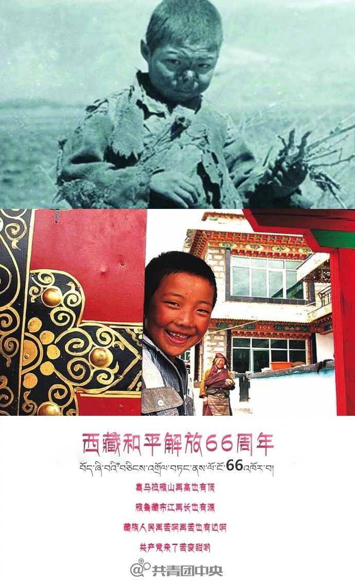 小黄网网站在线观看
