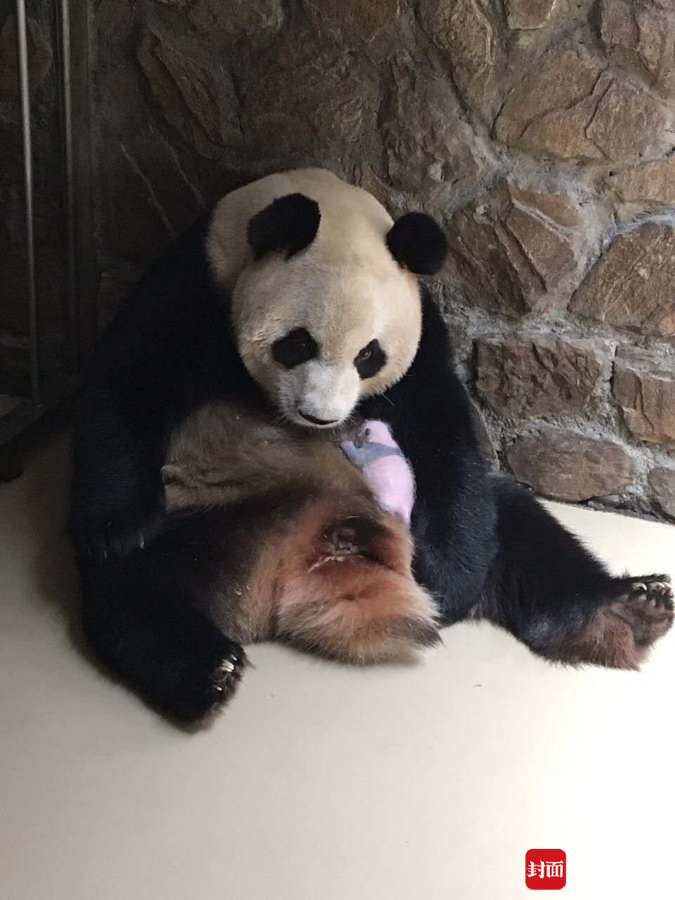 欧美性派对
