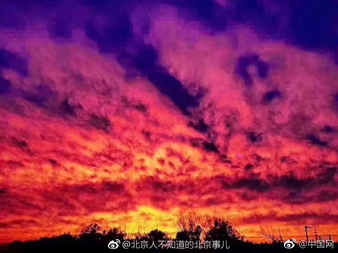 欧美性猛交 XX 自慰中国