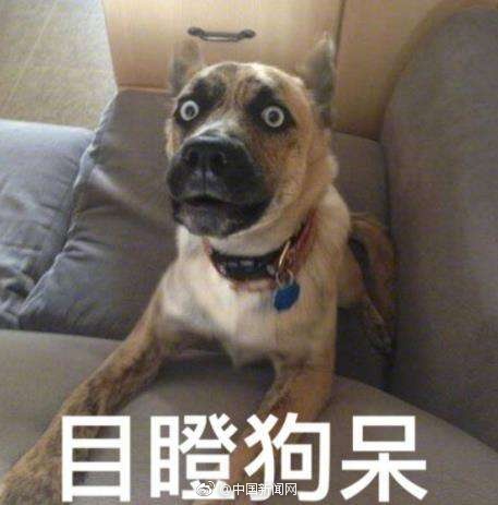 巨乳潮吹