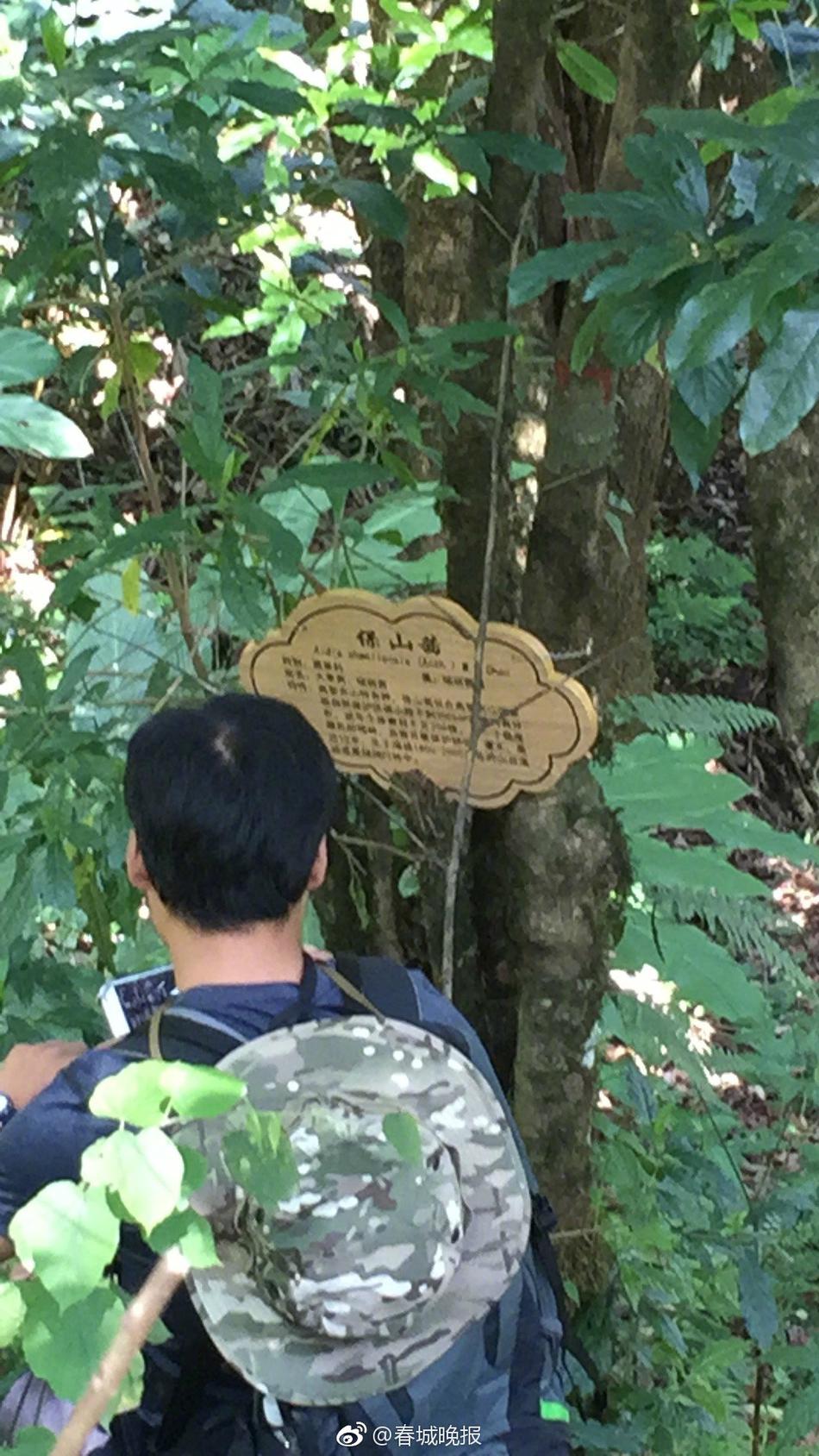成人 做愛 視頻