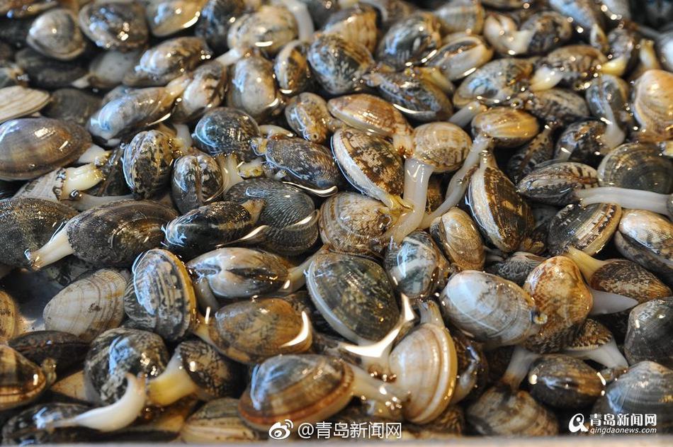 中国下载教师年代的黄片