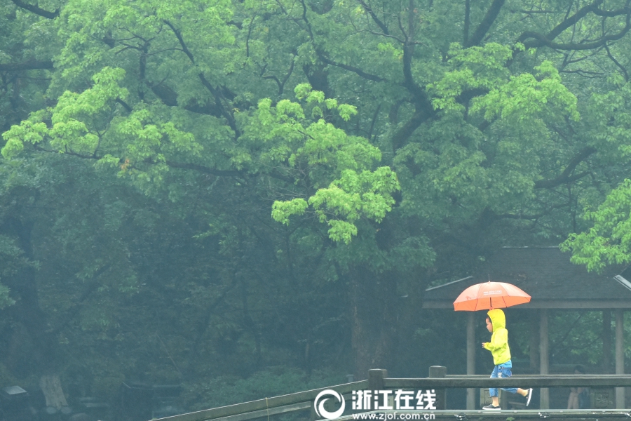 女生自慰网站
