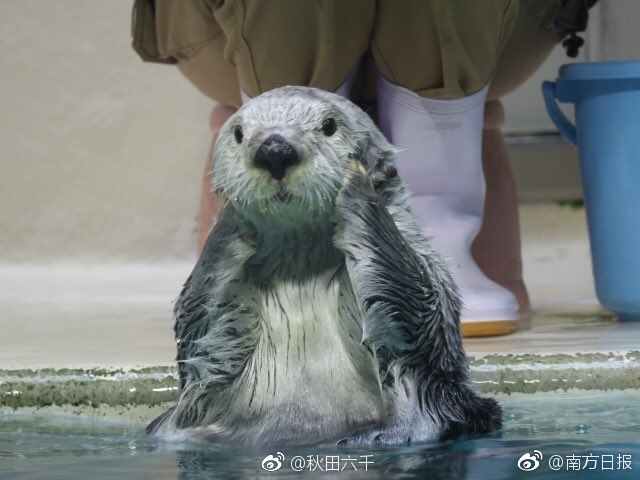 91秘 片黄在线观看AI明星