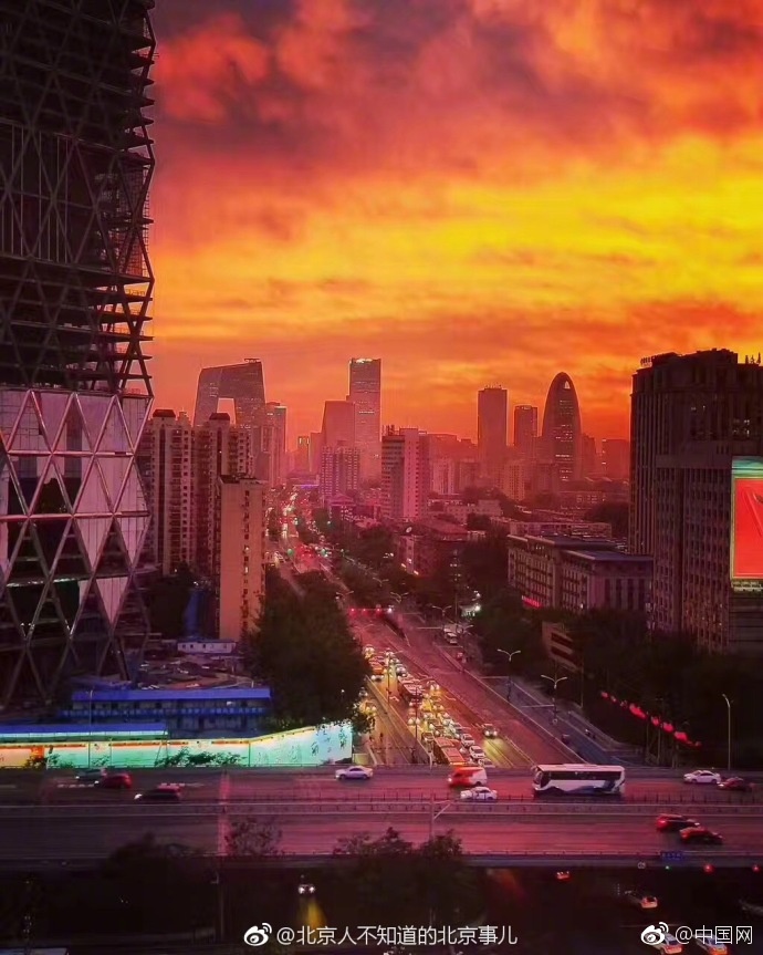 黄色网站Xx