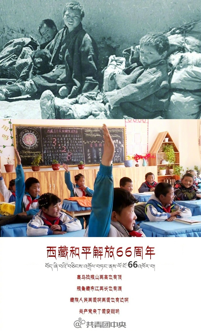 www.91视频网