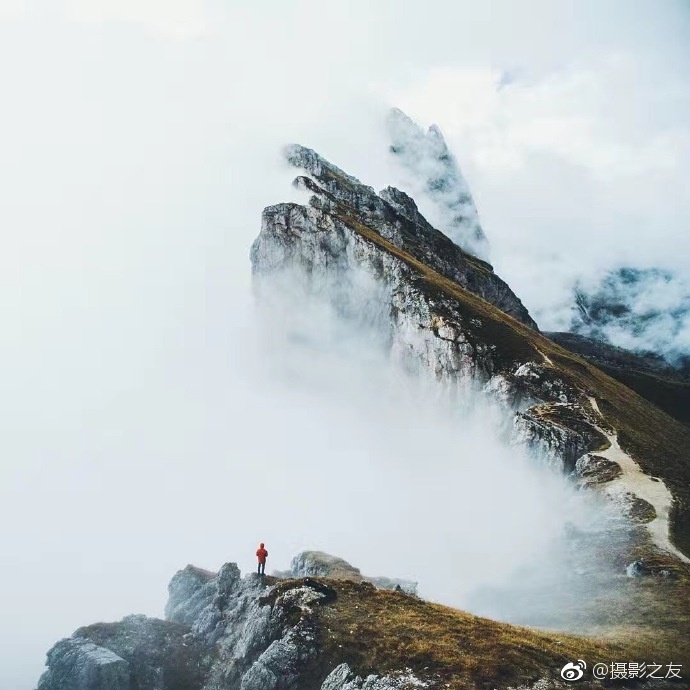 有坂深雪