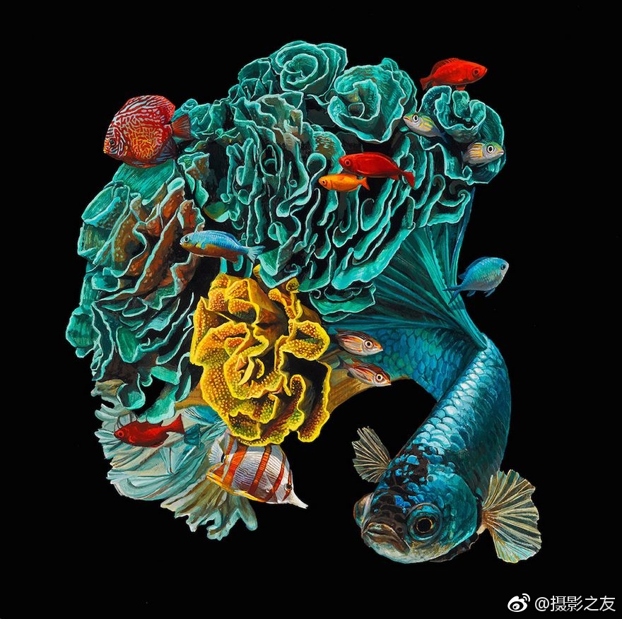 台灣入珠