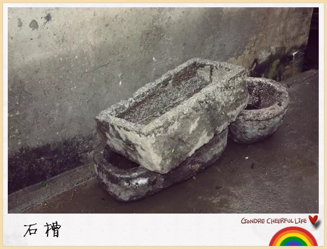 国产又粗又黄又爽又硬
