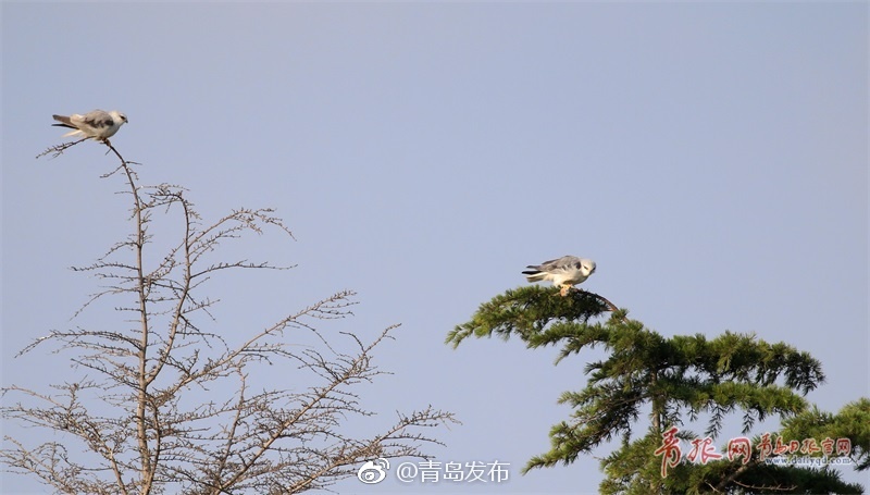 少妇激情自慰喷潮片