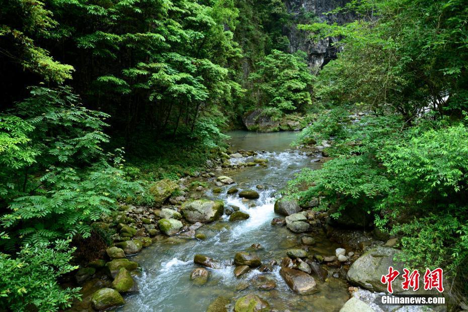 小早川怜子Av大乱交
