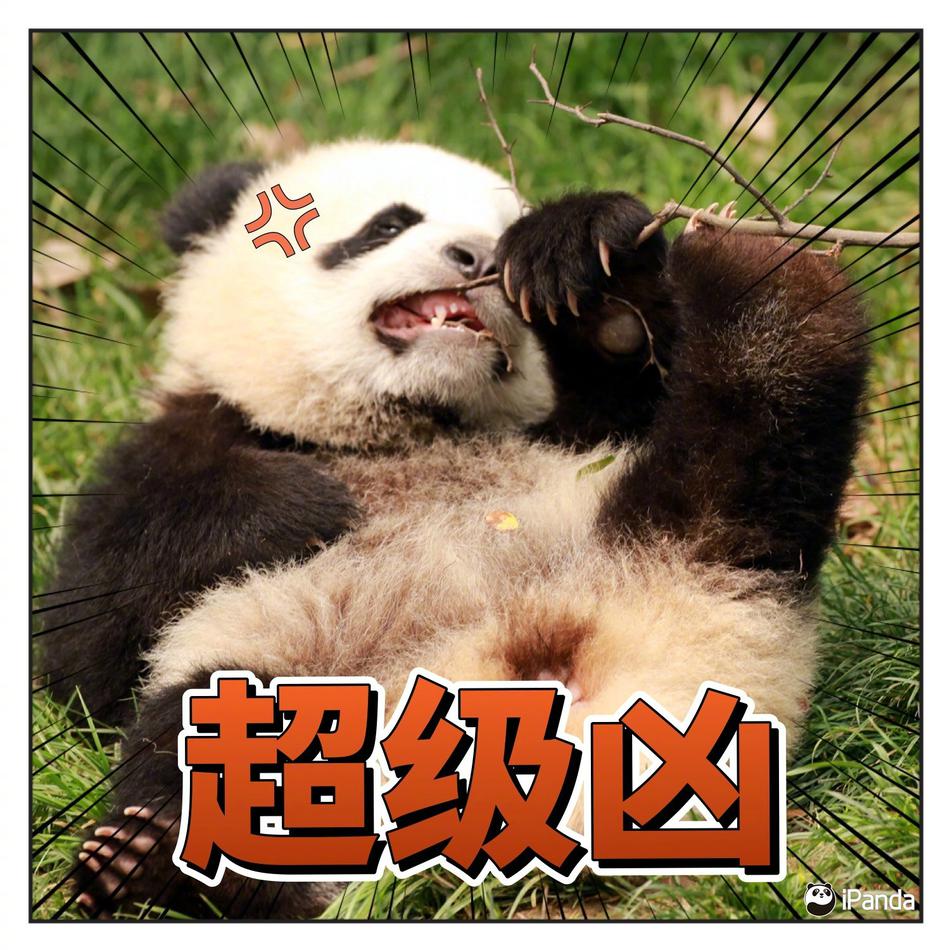 色情 免费 网站