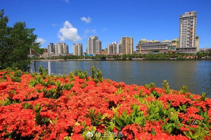亚洲成色www成人网站妖精