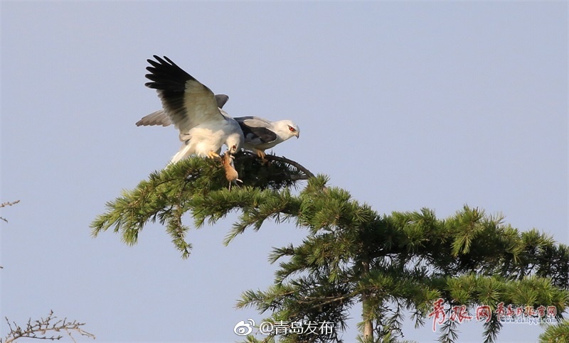 一二三区