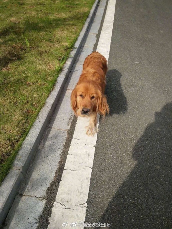 动漫人物扒开腿狂 触手