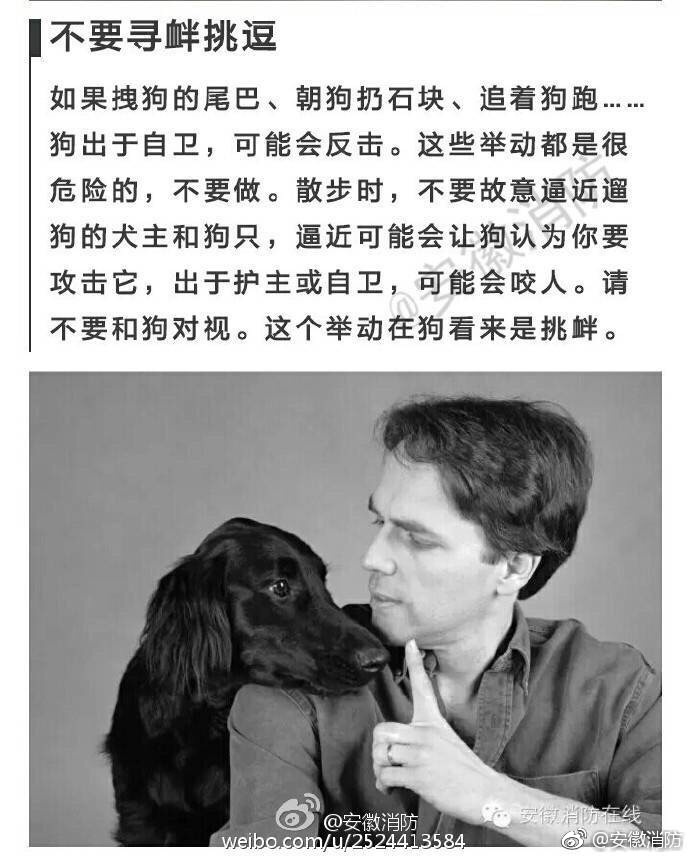 刘亦菲做爱视频