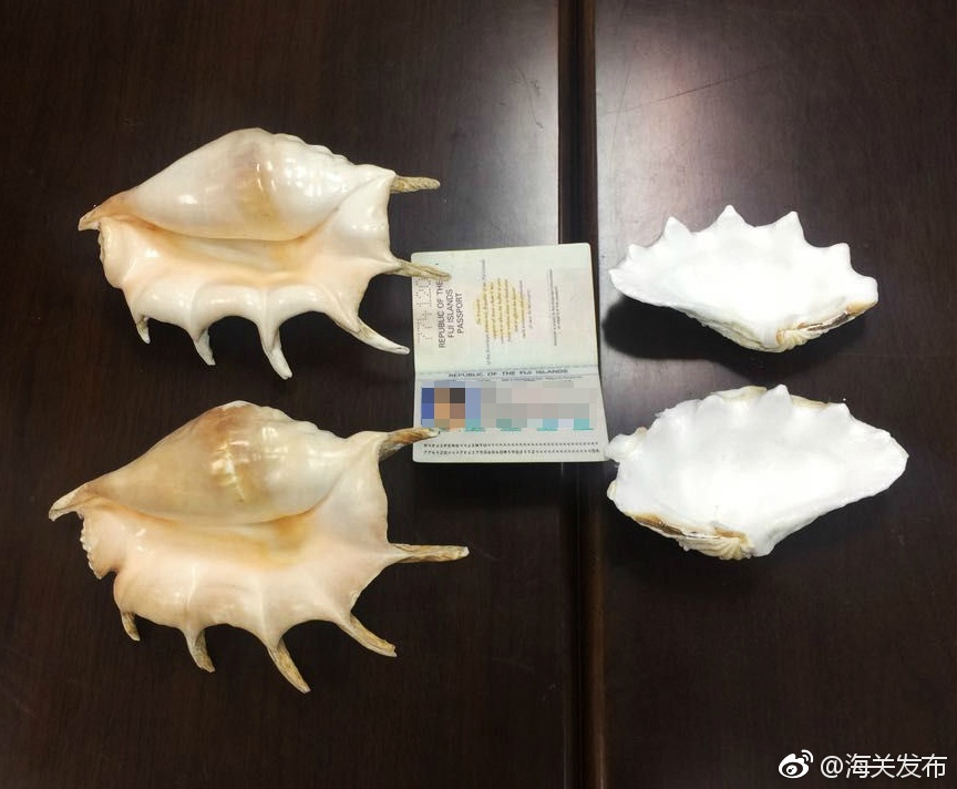 免费无码黄色网站
