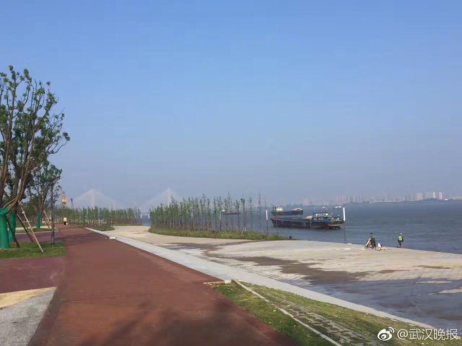 久久精品视频免费