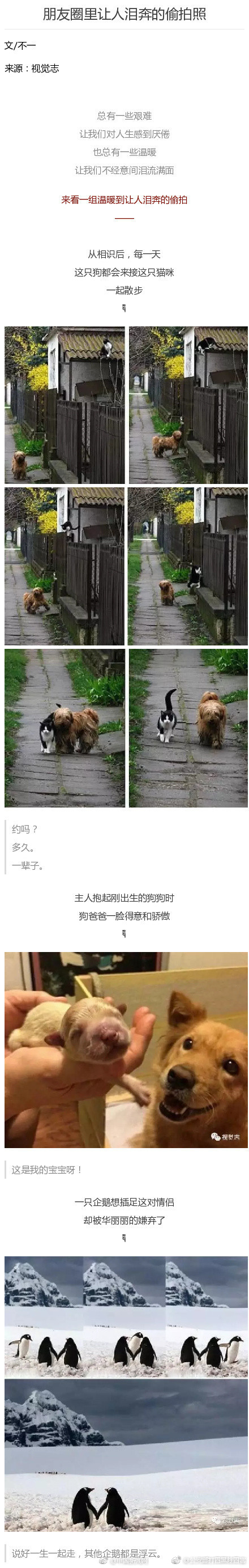 高龄老头Gay互摸