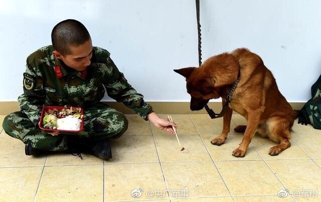 久久久99精品免费观看
