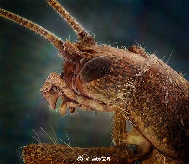 日本一区免费