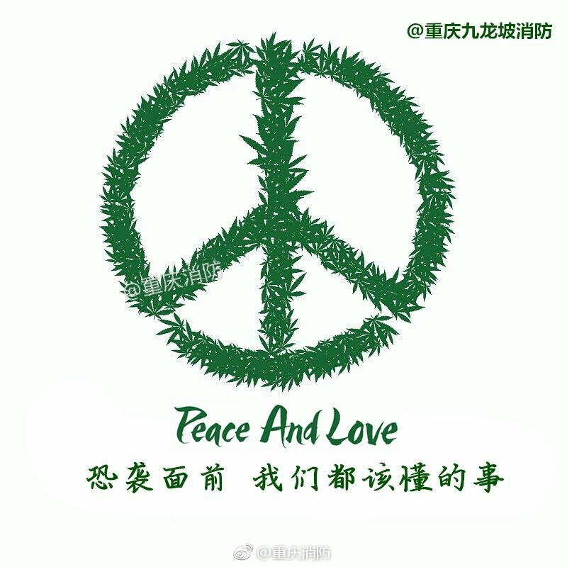 毛茸茸的年轻的护士