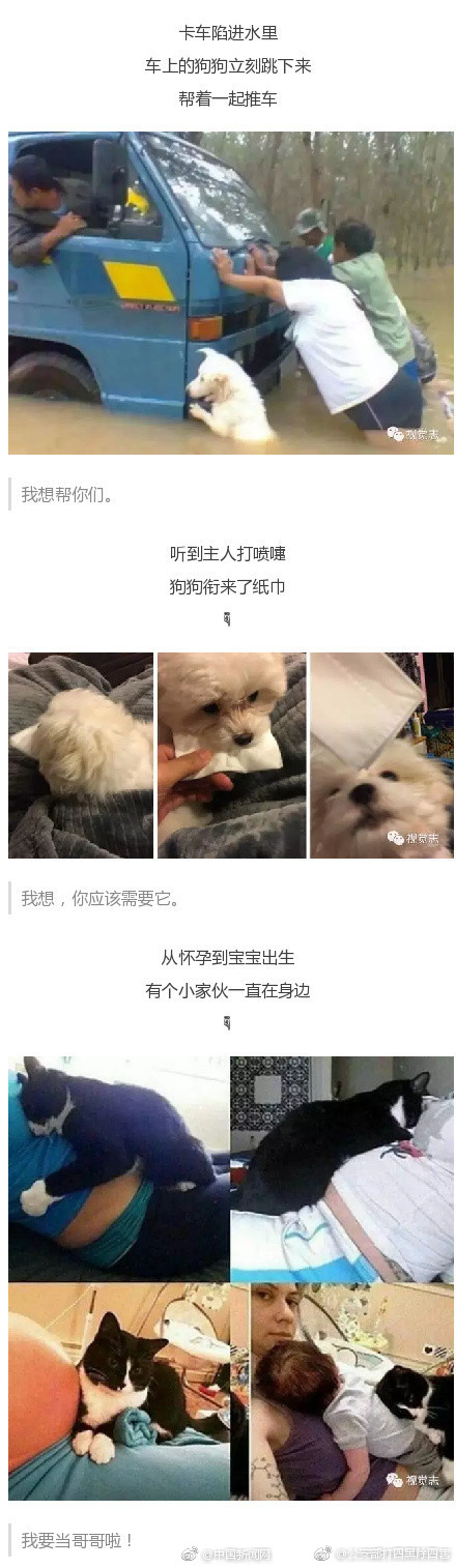 老人做爰全过程