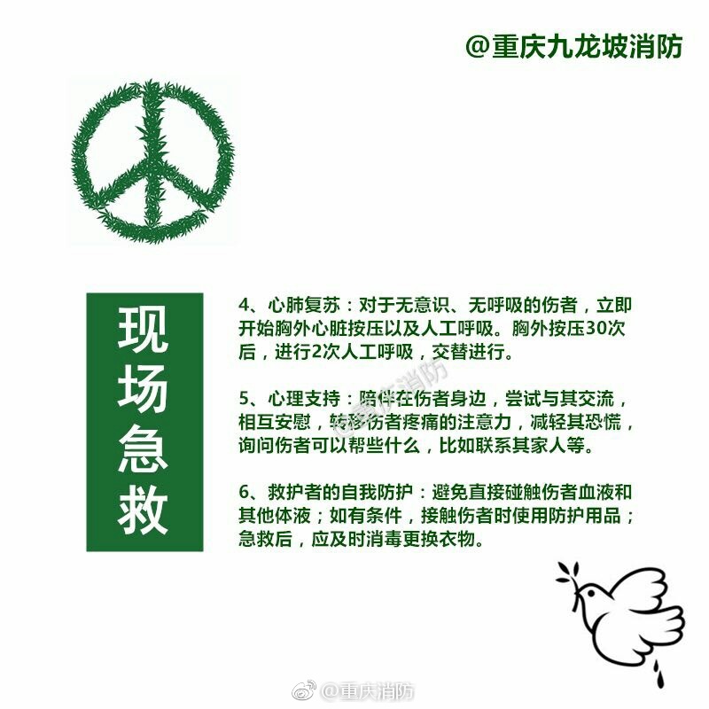 东京热免费看黄APP