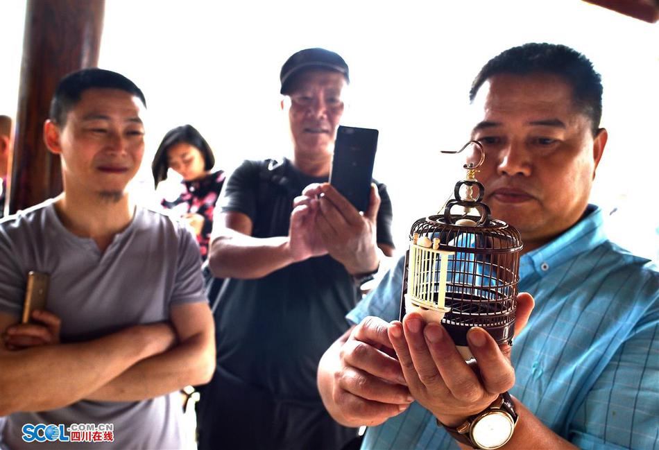 AAA级毛片高清与曾狗