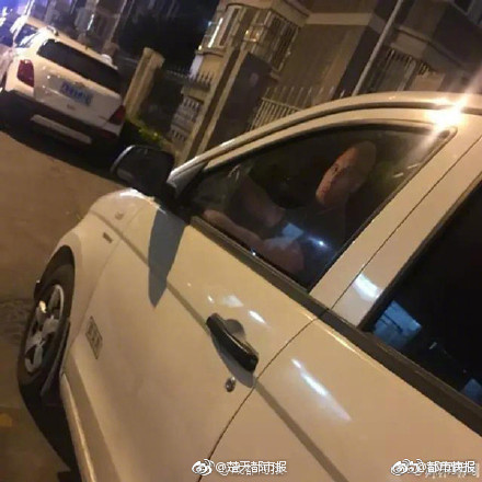 欧美多毛系列