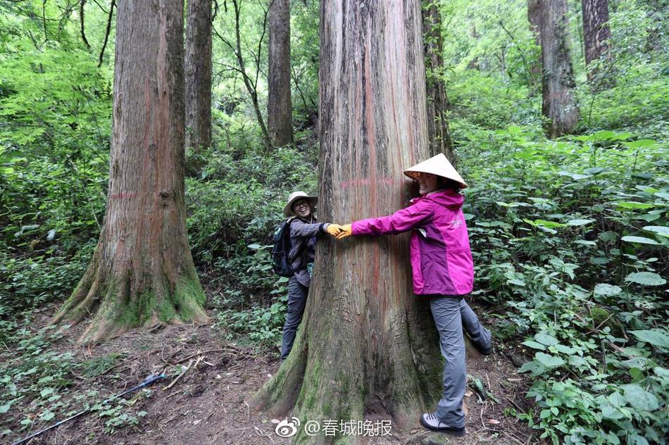 欧美成年人网