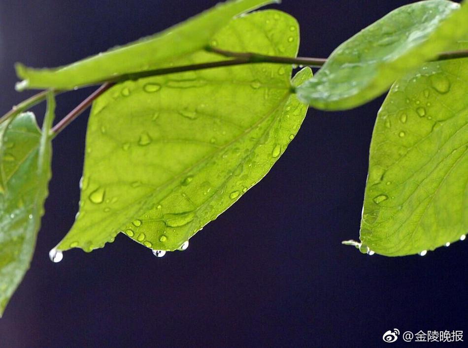 夫妻性生活三级影片黄