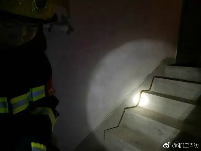 亚洲综合色图
