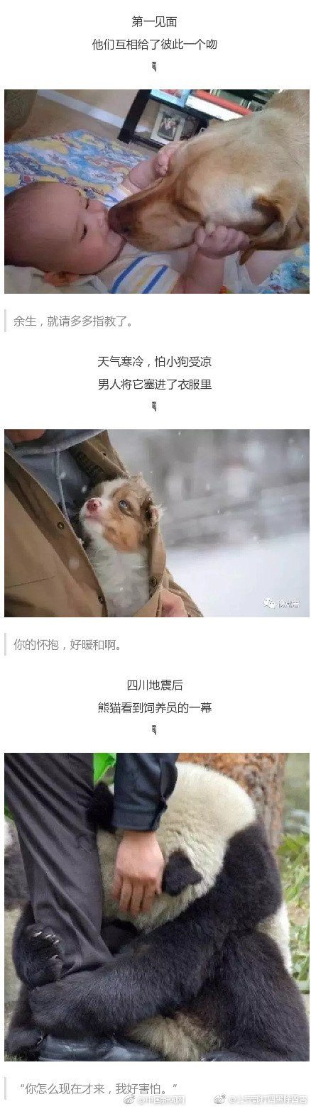 日本色情節目無碼