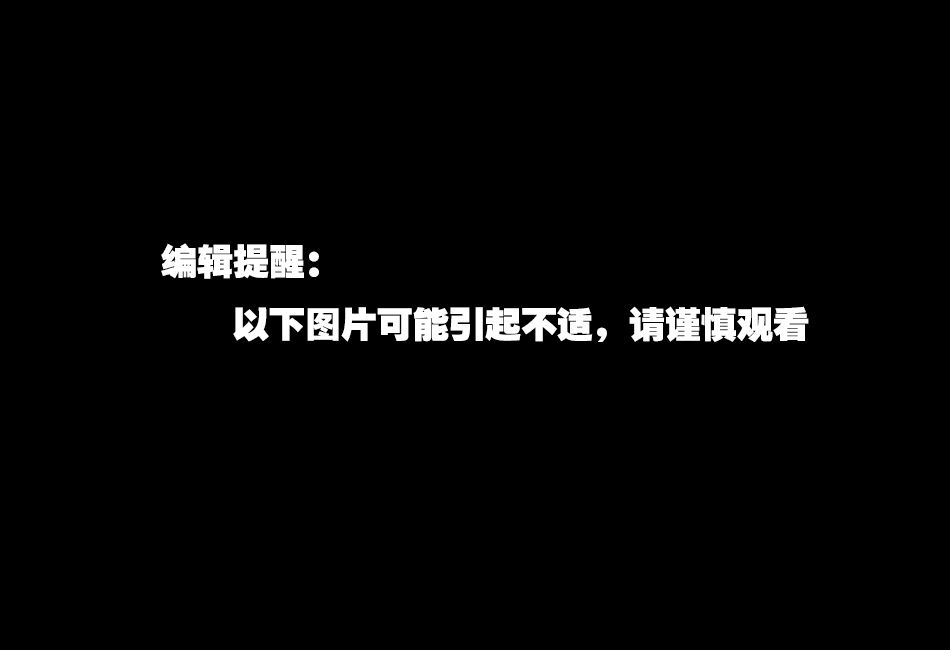 韓國絲襪