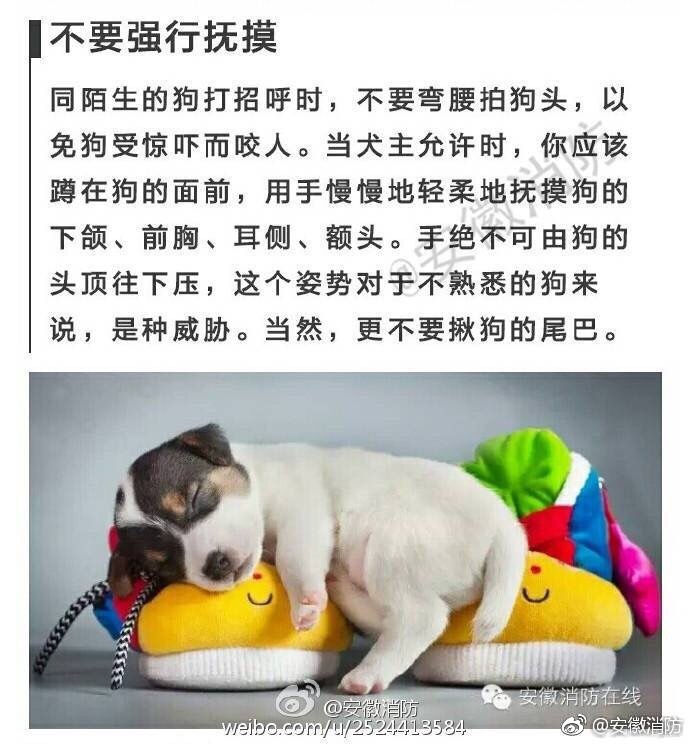 本多成實