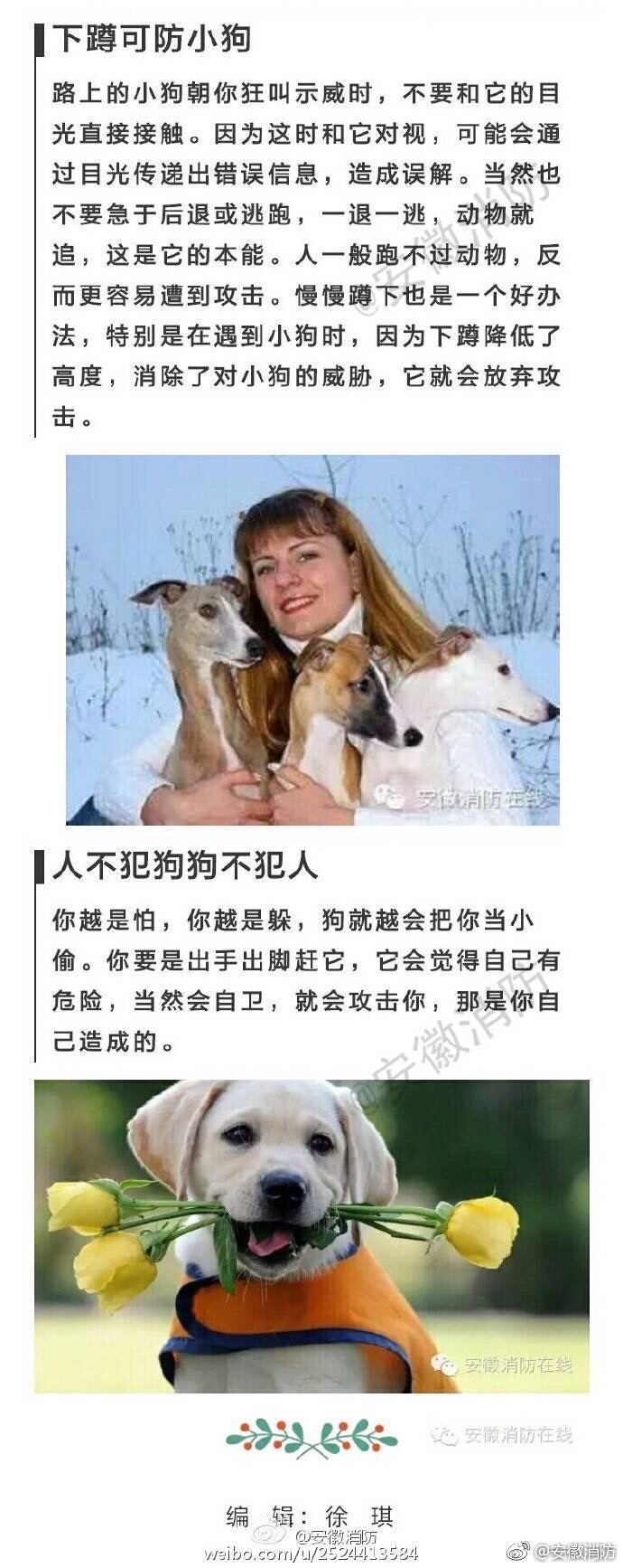 久久久久91