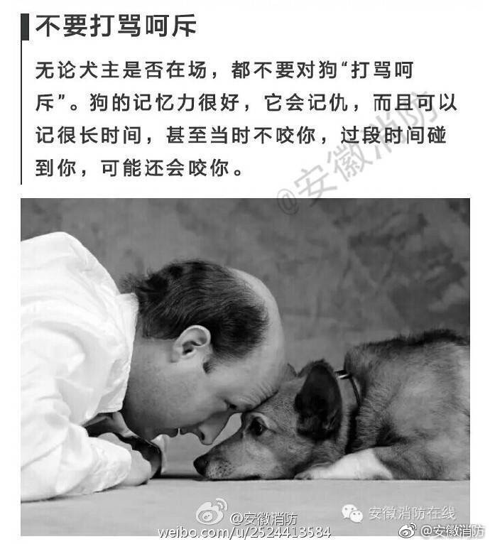 包臀連身裙
