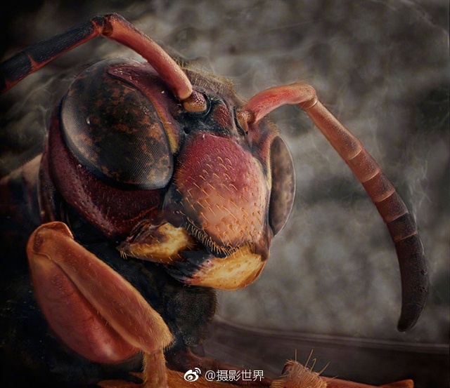 免费三 片60分钟却