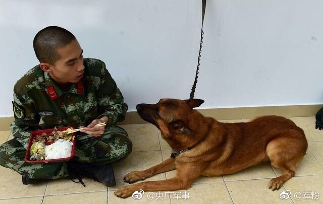 美月优芽
