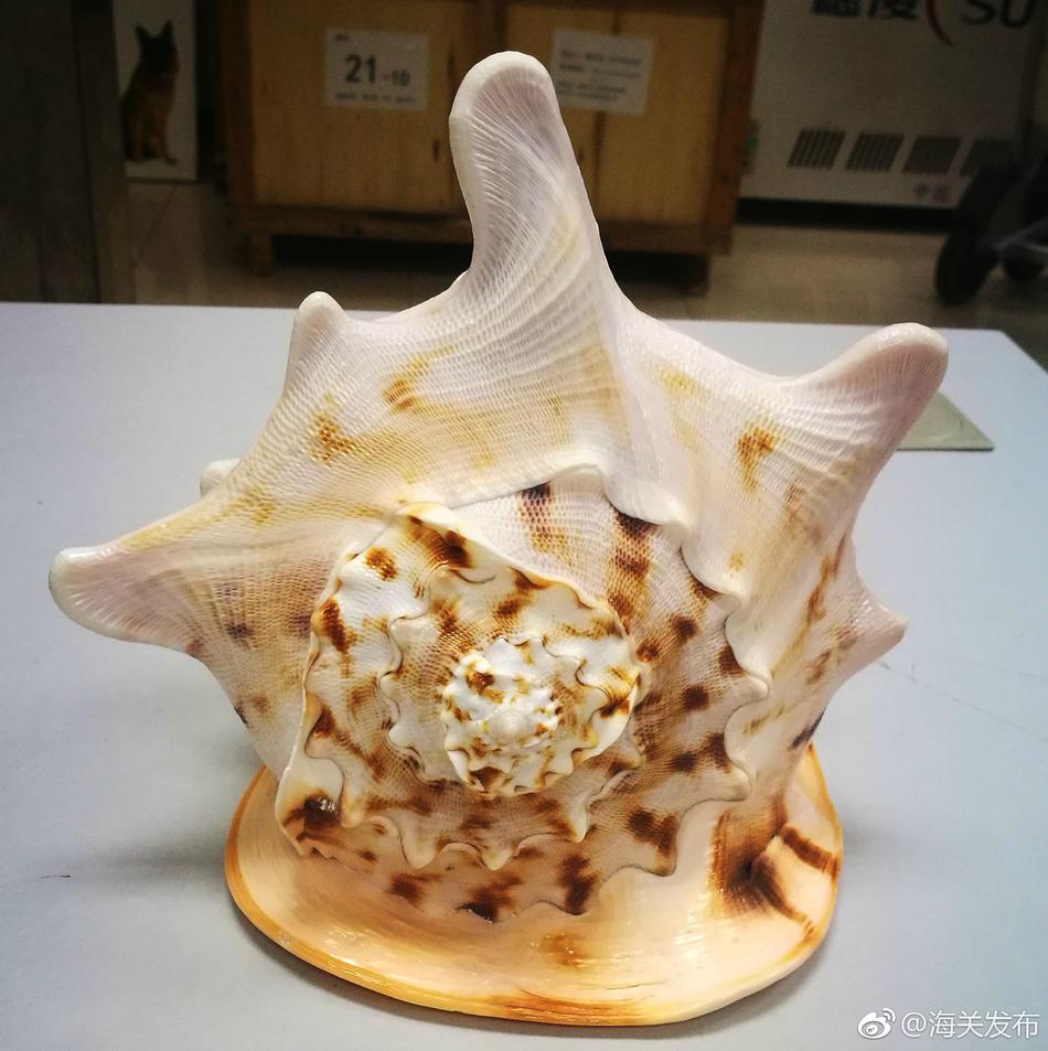 男男高H在线观看