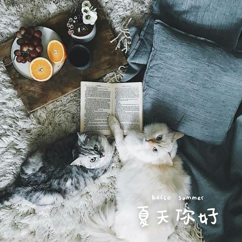 爱爱动态图