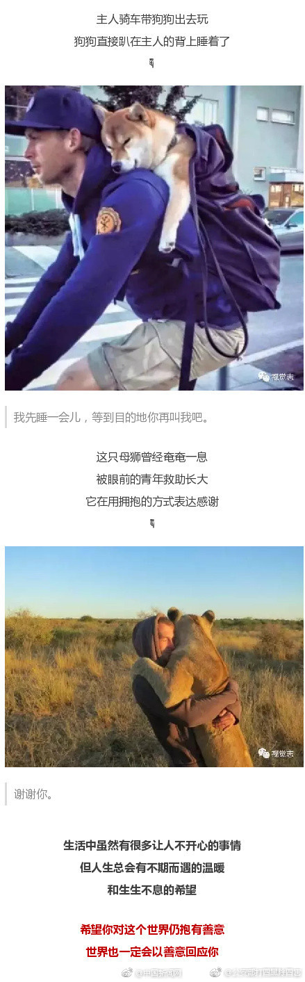 视频 国产 精品 熟女
