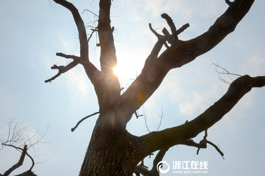 优优色影院