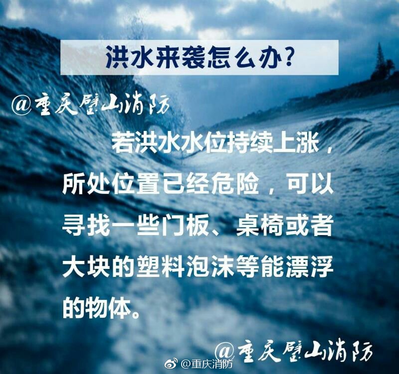 桐島秋子