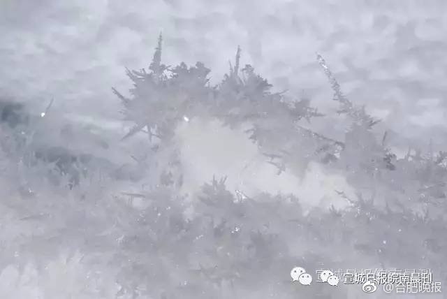 撕开奶罩揉吮奶头玩大胸直播