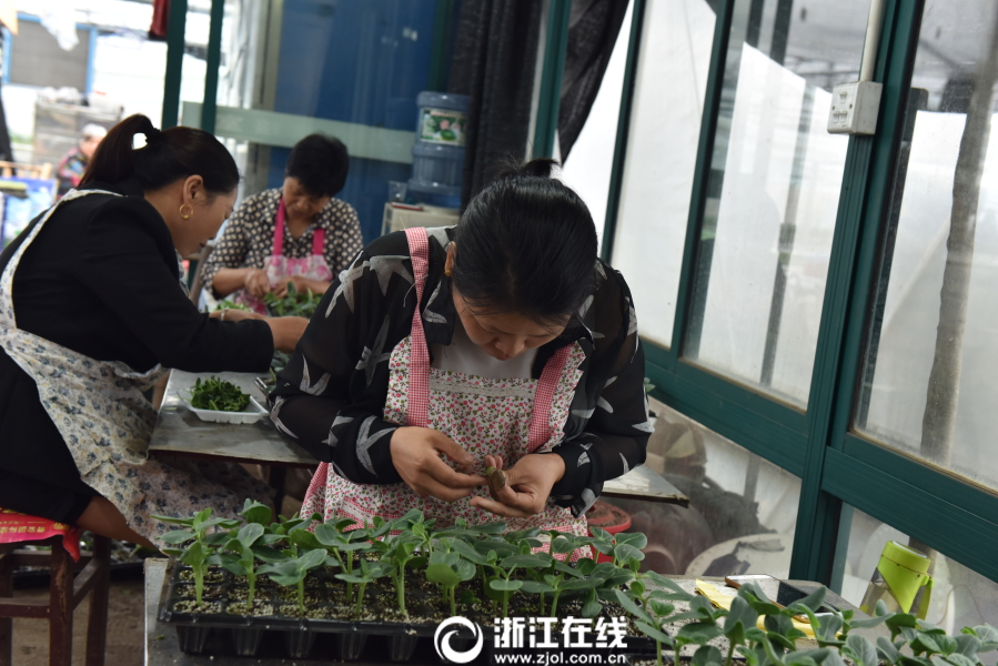 女人张开腿让男人添