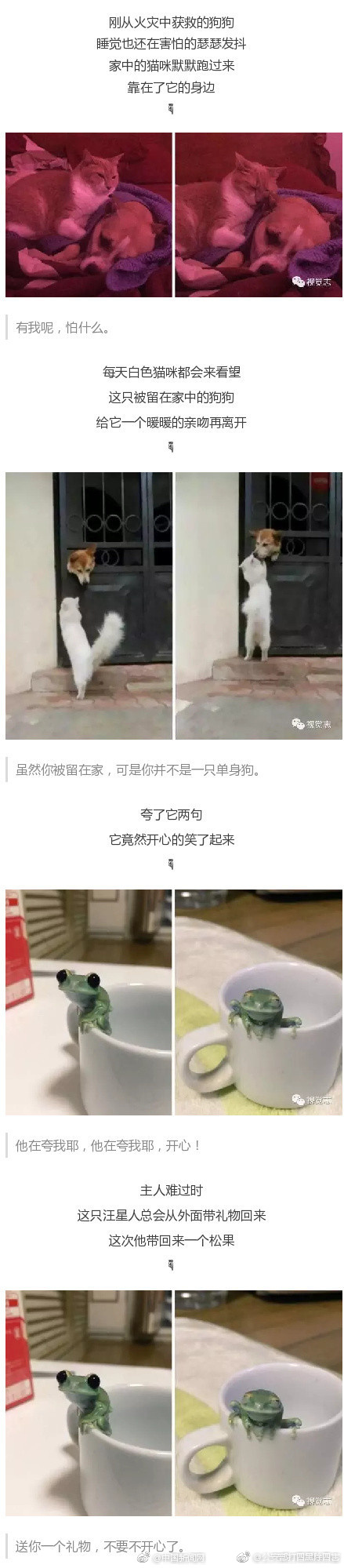 舞蹈生退了裙子重打三十大板