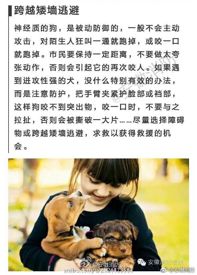 俄罗斯少妇性高清Ⅹxx