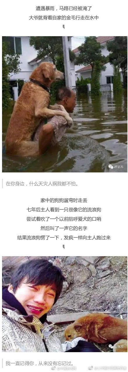 国产一级性爱